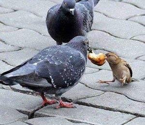 "Never, never, never, never give in!!"