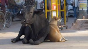 guard your friends back